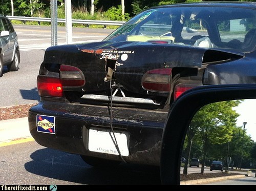 What if the Junk IS the Trunk?