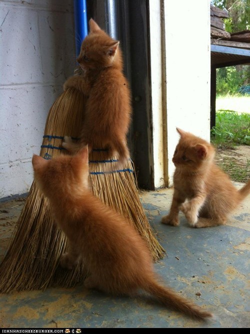 Cyoot Kittehs of teh Day: Itteh Bitteh Broomstick Committeh