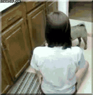The Hero That The Kitchen Needs