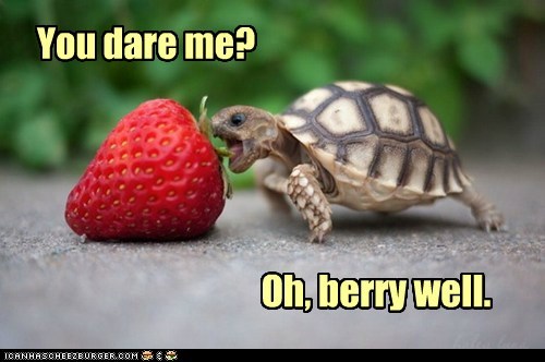 Animal Capshunz: If You Insist.