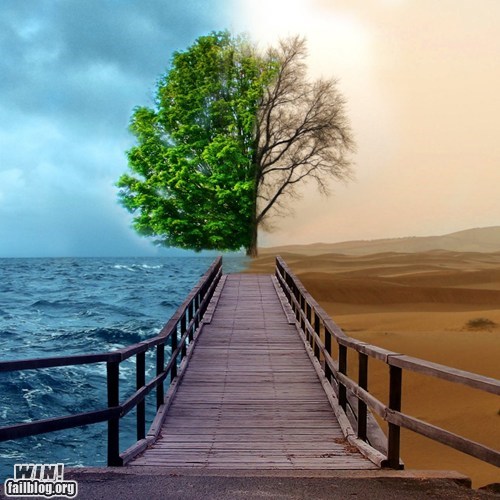 Bipolar Nature