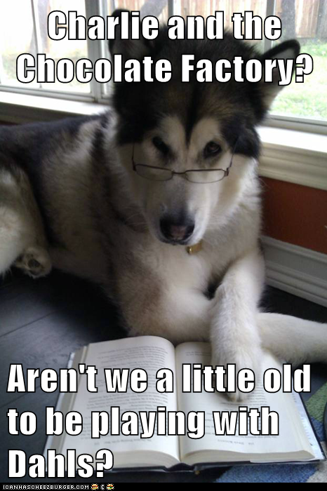 Animal Memes: Condescending Literary Pun Dog - Never Too Old