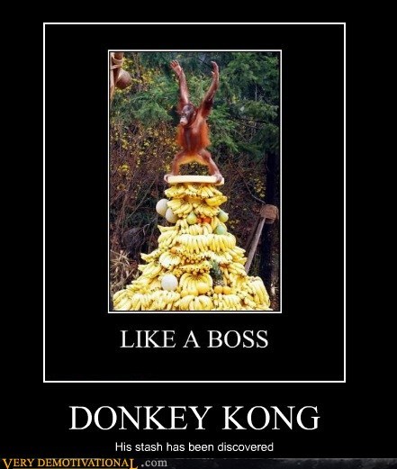 DONKEY KONG