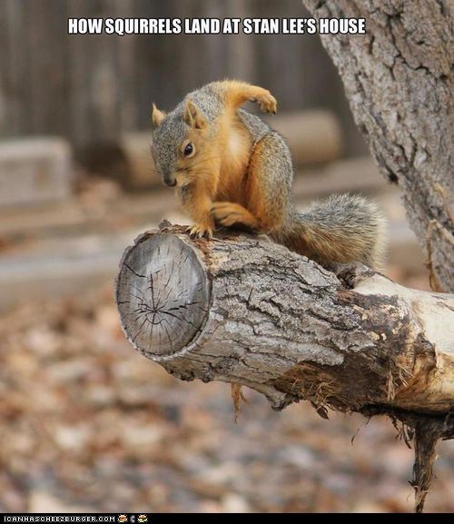Squirrel-Man, Protector of Nuts