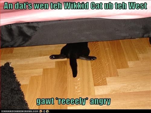 Classic LOLcat