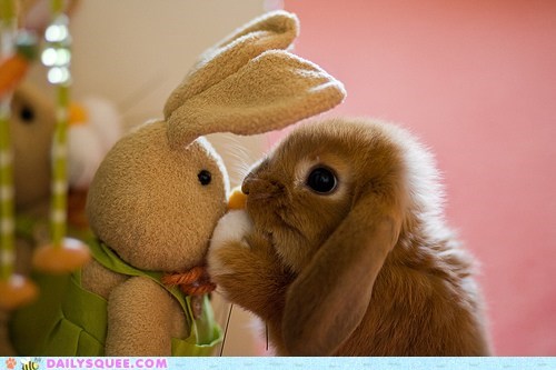 Bunday: It's A Secret