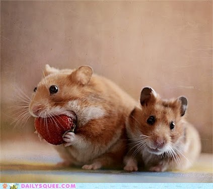 Daily Squee: One Big Bite 