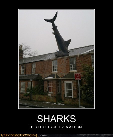 SHARKS