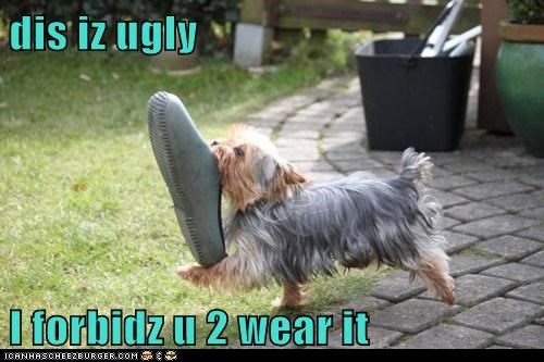 Fashion Police