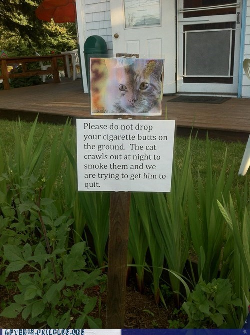Crunk Critters: Marlboro Kitteh Needs Ni-cat-ine!