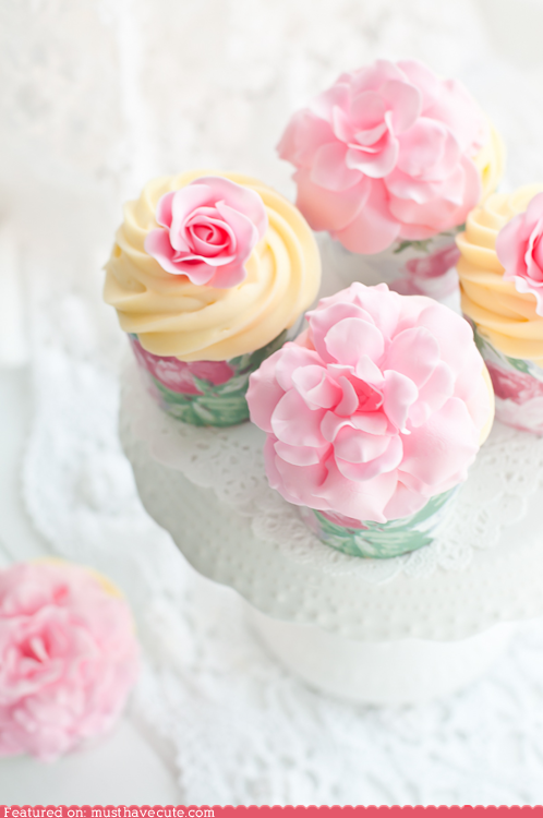 Epicute: Peony Season