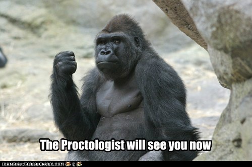 Animal Capshunz: Are You Sure He's Trained to Do This?