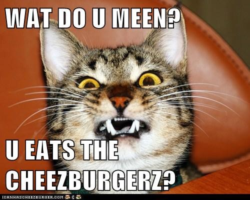 WAT DO U MEEN?  U EATS THE CHEEZBURGERZ?