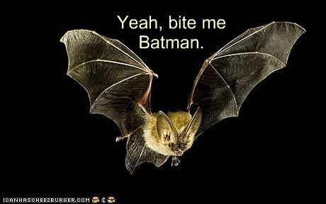 Talk to Me When You Can Fly