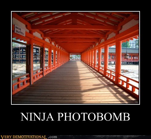 NINJA PHOTOBOMB
