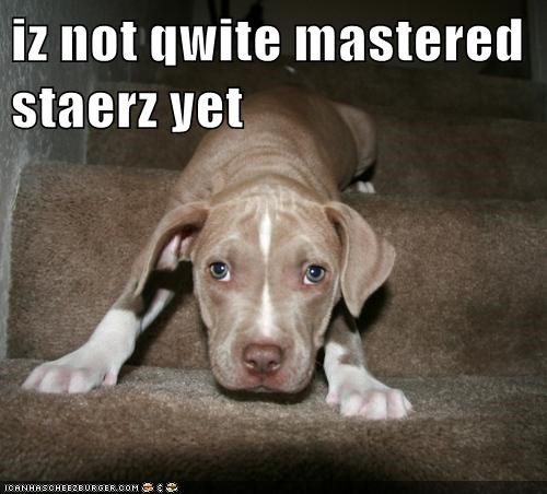 iz not qwite mastered staerz yet