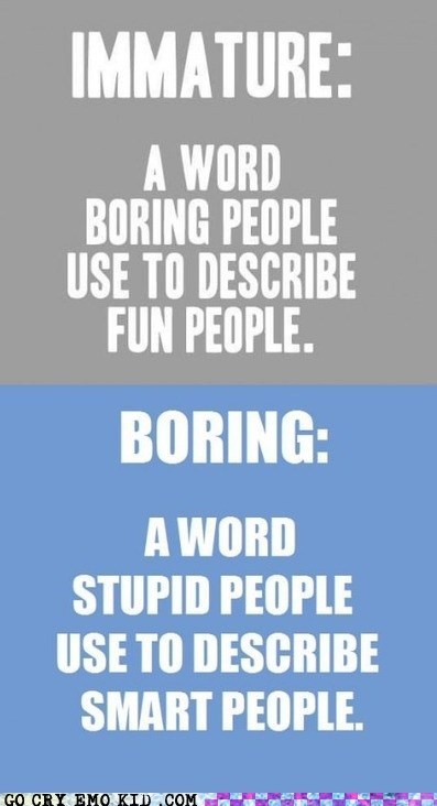 Some Stupid Words Describing Stupid Things