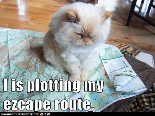 I is plotting my ezcape route.