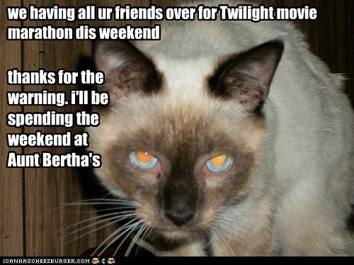 we having all ur friends over for Twilight movie marathon dis weekend