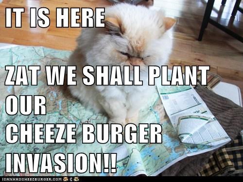 IT IS HERE ZAT WE SHALL PLANT OUR CHEEZE BURGER INVASION!!