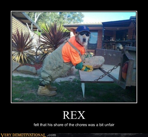 REX