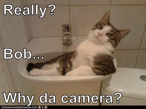 Really? Bob... Why da camera?