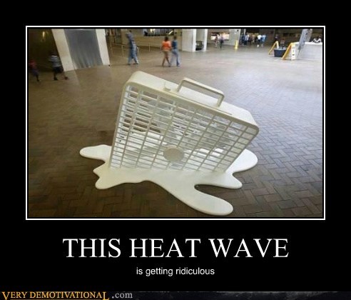 THIS HEAT WAVE
