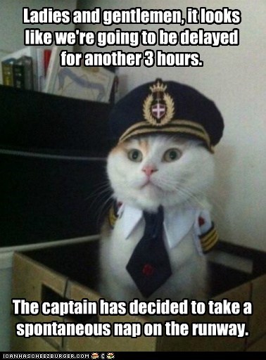 Animal Memes: Captain Kitteh - A More Logical Explanation Than They Usually Give