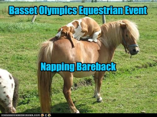 Olympic Napping