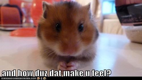 Therapist Hamster is Concerned