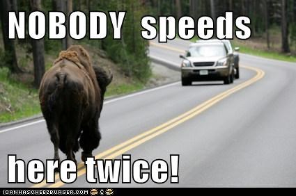 Get Ready to Meet the Sharp Horn of the Law