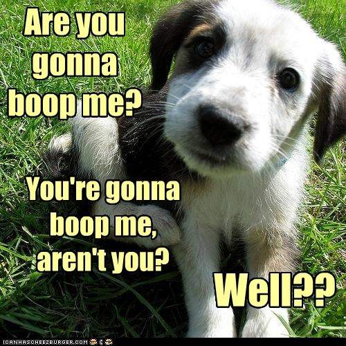 I Has A Hotdog: WELL??