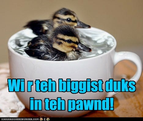 Animal Capshunz: Who Cares How Small the Pond Is?