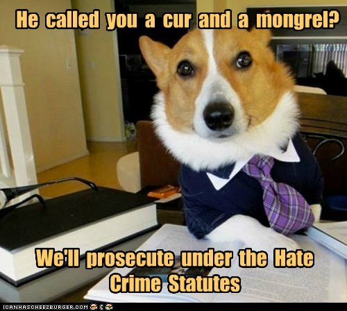 Animal Memes: Lawyer Dog - What Century is He Living In?
