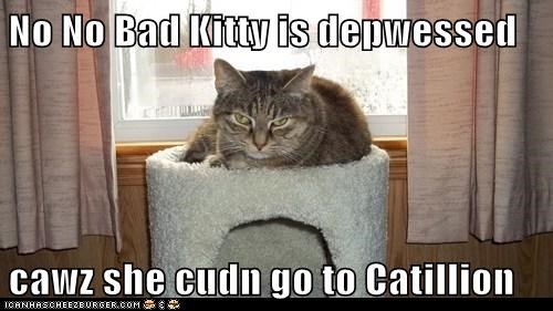 No No Bad Kitty is depwessed  cawz she cudn go to Catillion
