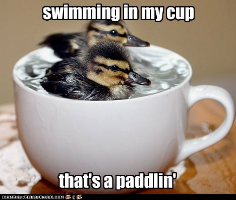 What DOESN'T Get Us a Paddlin'?