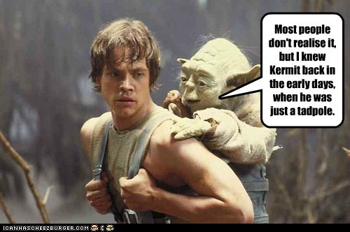 Yoda has Connections