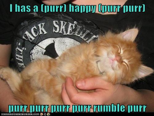 I has a (purr) happy (purr purr)  purr purr purr purr rumble purr