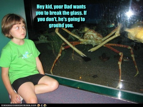 Crab People: The Quest Begins