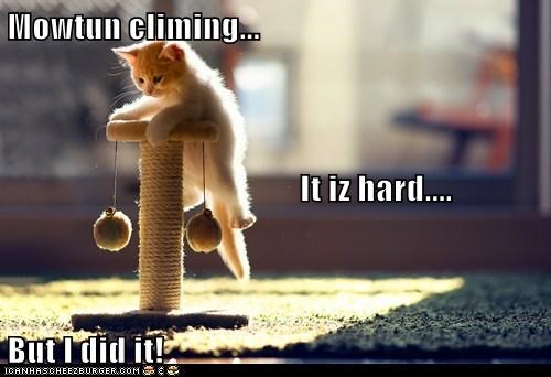 Mowtun climing...                                             It iz hard.... But I did it!