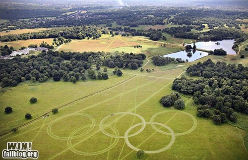 Olympic Lawn WIN