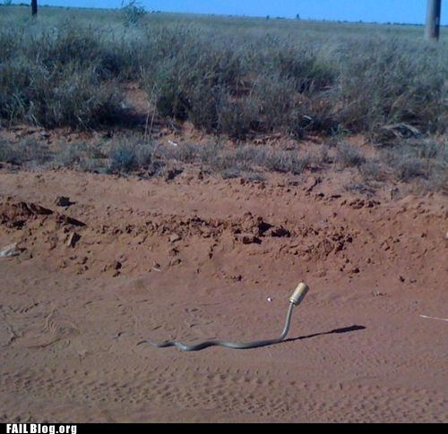 FAIL Nation: Snake FAIL
