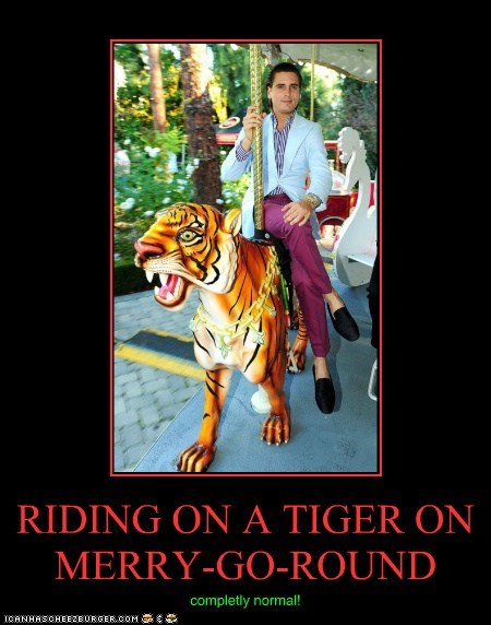 RIDING ON A TIGER ON MERRY-GO-ROUND