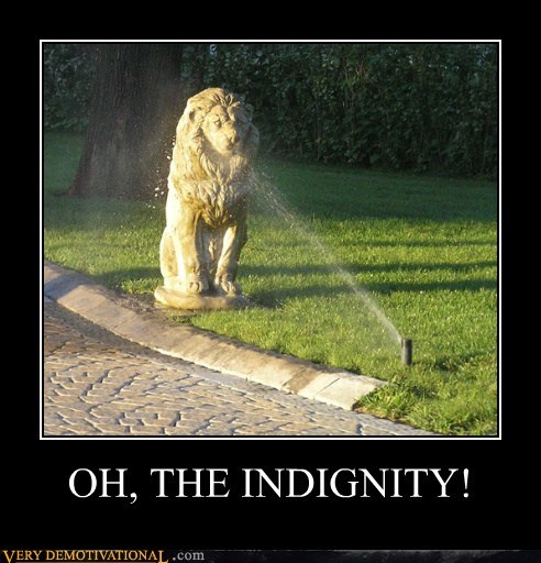 OH, THE INDIGNITY!