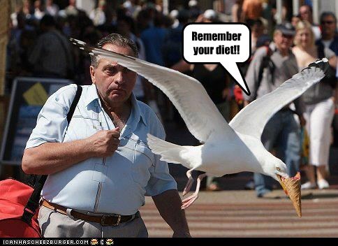 The Calorie Counter