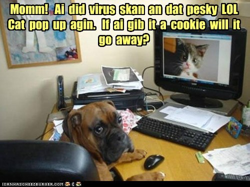 Dun't dewete ur cookiez!