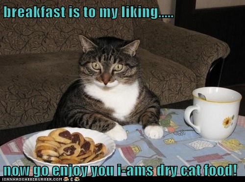 breakfast is to my liking.....  now go enjoy you i-ams dry cat food!