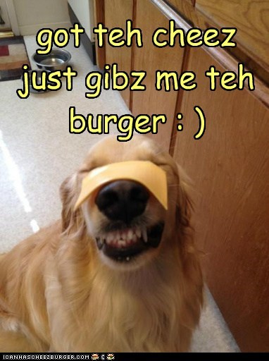got teh cheez just gibz me teh burger : )