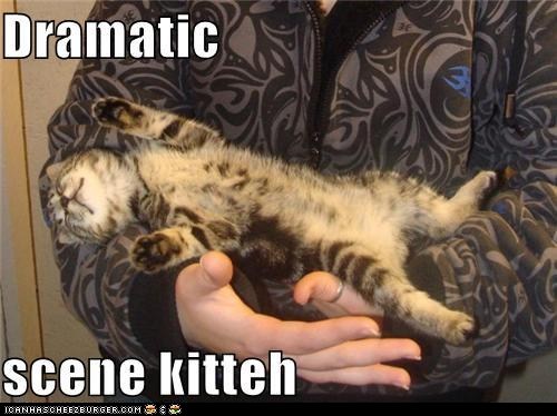 Classic LOLcat