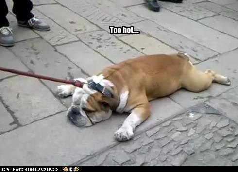 Too hot....
